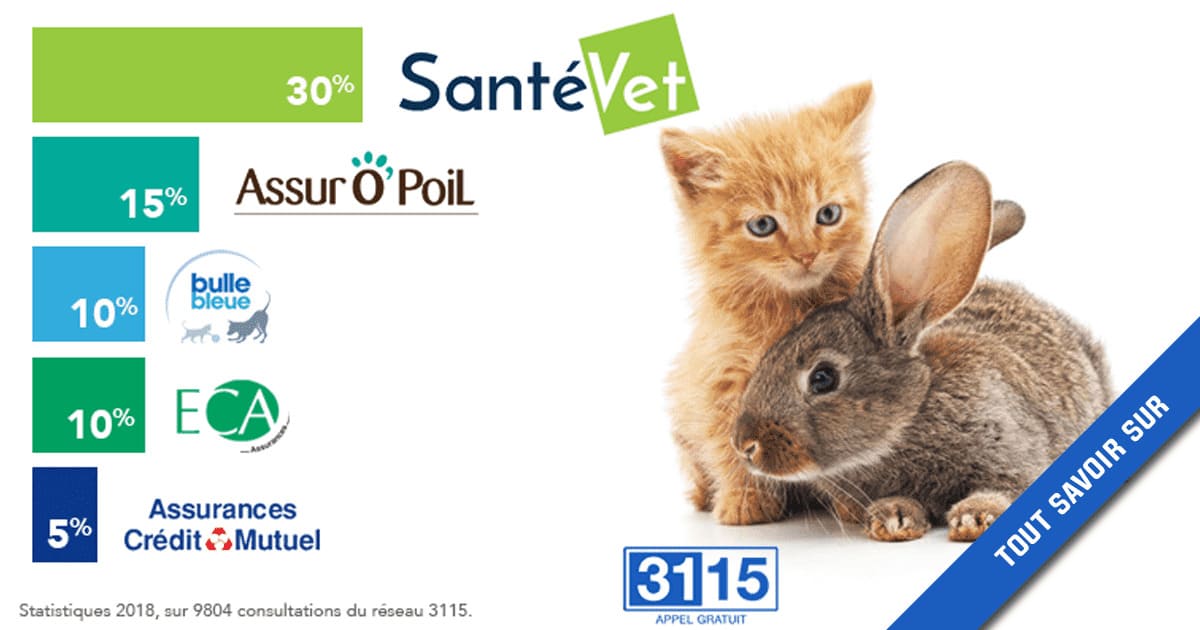 Quelle est la meilleure assurance santé animale en 2022? Quelle est la meilleure assurance santé animale en 2022?