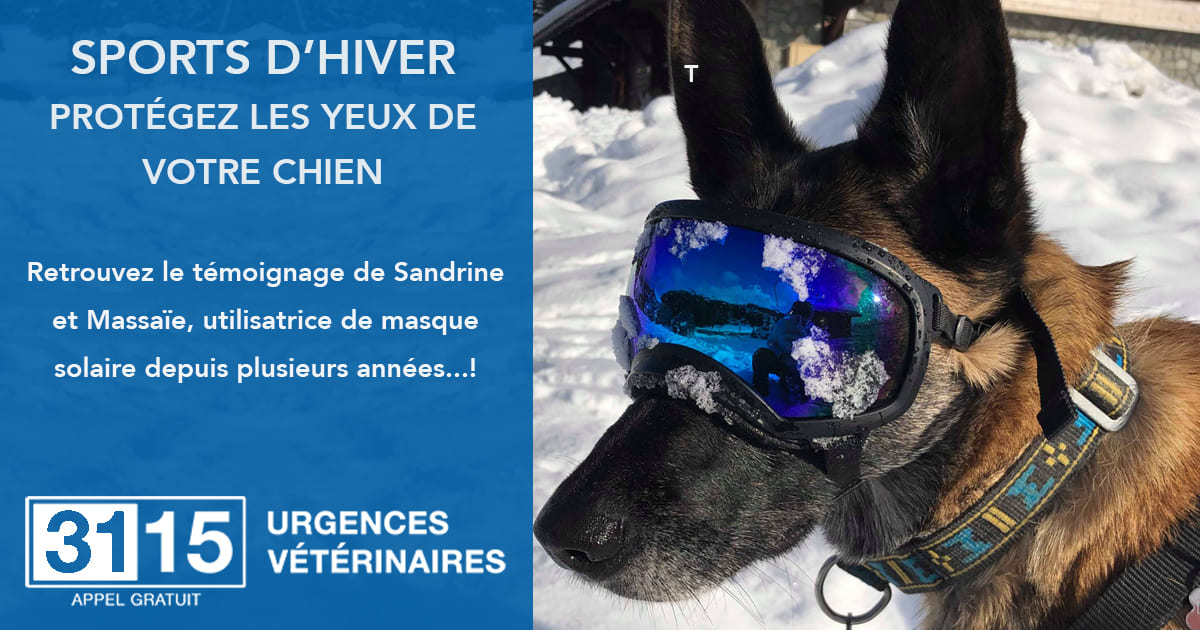 Les masques solaires pour chien, le témoignage de Sandrine ! Les masques solaires pour chien, le témoignage de Sandrine !