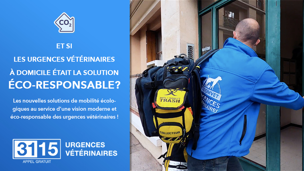 Urgences à domicile, une solution éco-responsable! Urgences à domicile, une solution éco-responsable!