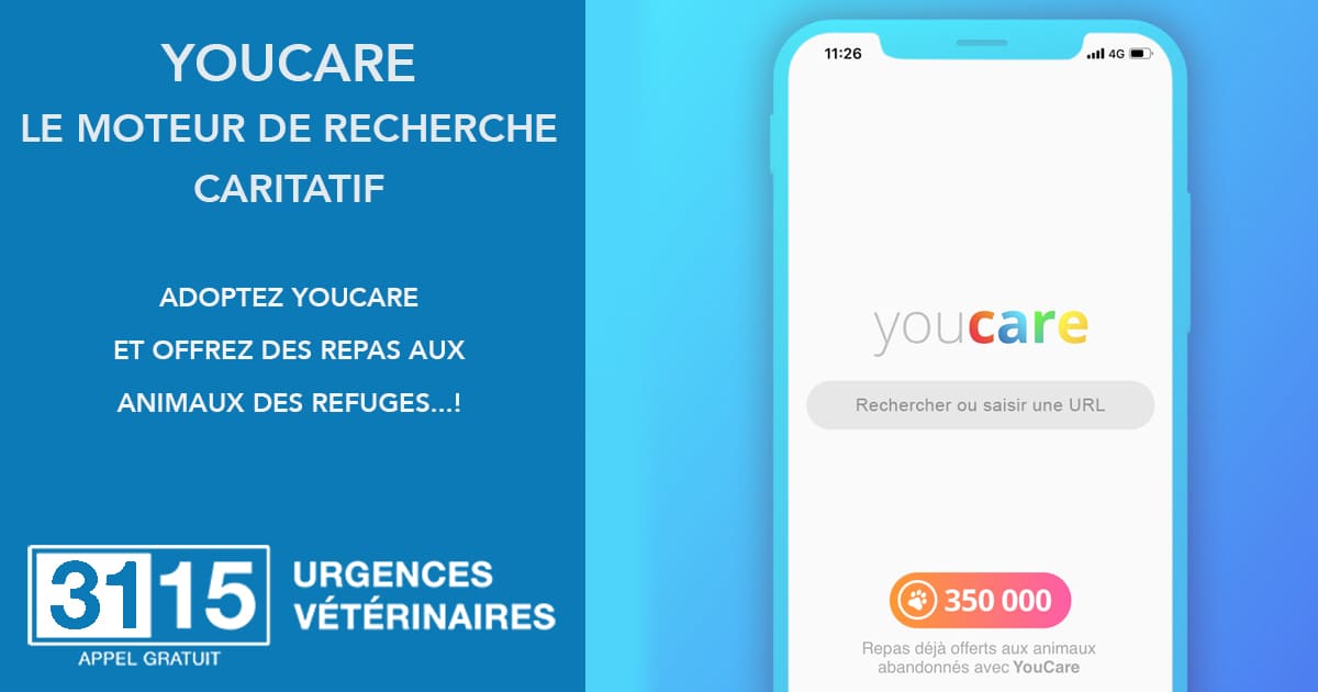 Aidons les animaux avec Youcare!