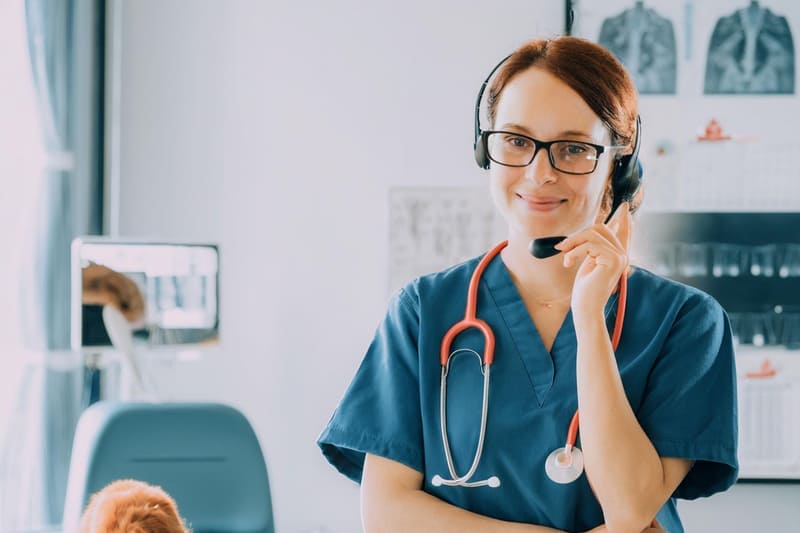 Les consultations d’urgence vétérinaire à domicile