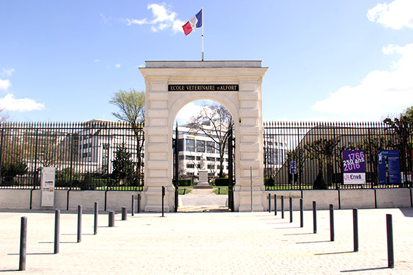 Urgences VETERINAIRES | VETERINAIRE de GARDE | L’Ecole Nationale Vétérinaire de Maisons-Alfort