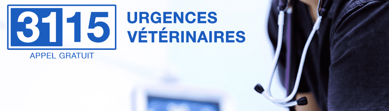 3115 Urgences Vétérinaires, numéro 100% gratuit