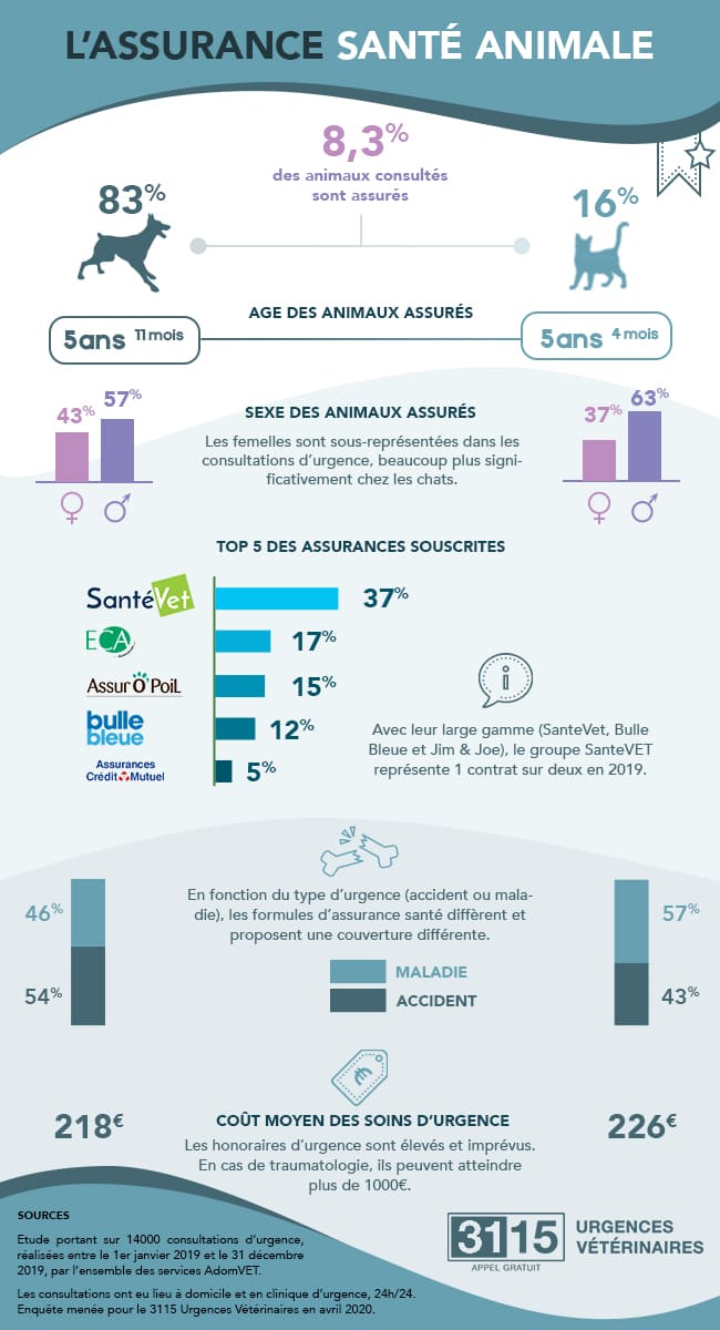 Urgences Vétérinaires en FRANCE | Panorama 2020