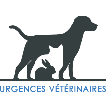 Urgences vétérinaires Nice, référent 3115