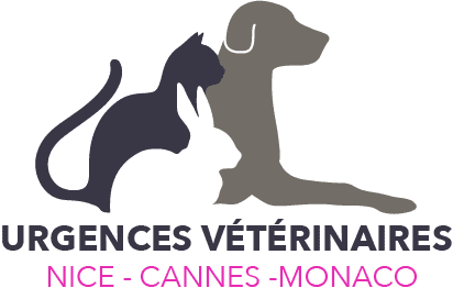 Urgences vétérinaires Nice, référent 3115