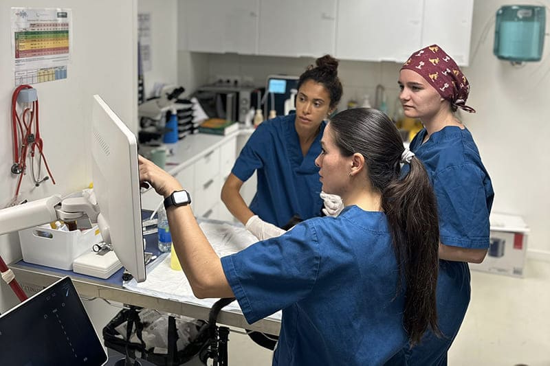 La Maison des Urgences Vétérinaires