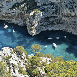 Vétérinaire de garde Marseille