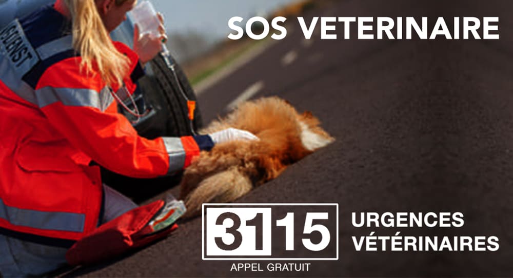 SOS Vétérinaire, 3115 Urgences Vétérinaires®