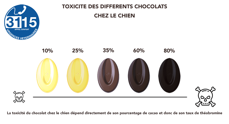 toxicité des différents chocolats chez le chien