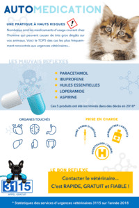 URGENCES VETERINAIRES | Dossier complet | Les Dangers De L'automedication