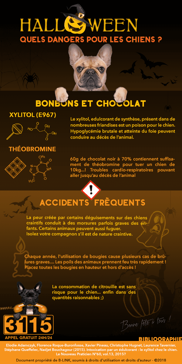 Infographie : Halloween : 5 conseils pour éviter un passage aux urgences vétérinaires!