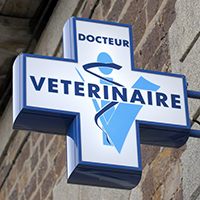 Trouvez un vétérinaire de garde à proximité de chez vous!