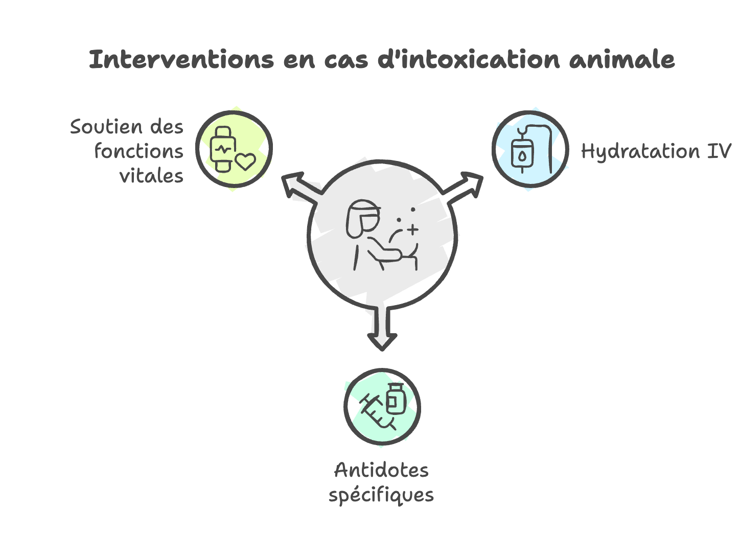 Infographie Les premières mesures en cas d’intoxications