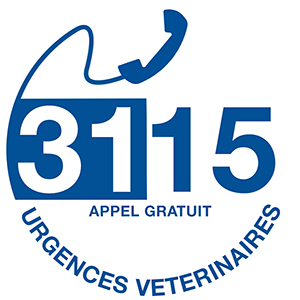 VETERINAIRE de GARDE | Aujourd'hui