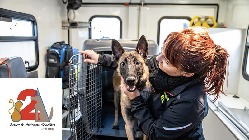 Ambulance vétérinaire pour Chien et Chat