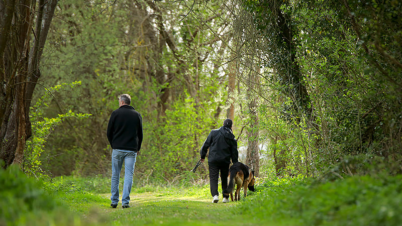 La Parvovirose chez le chien et le chiot