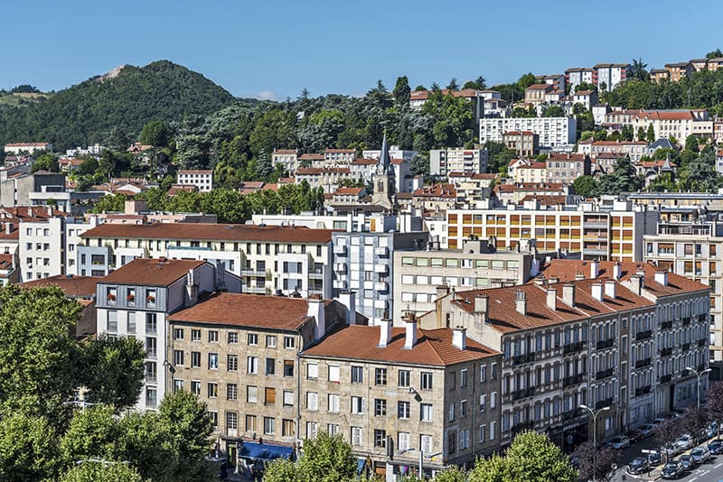 Urgences Vétérinaires Lyon, que faire?