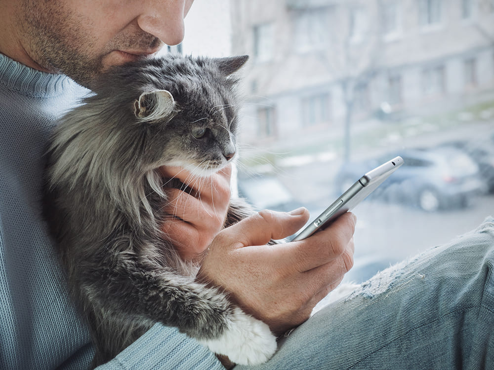 Télémédecine Vétérinaire - téléconsultation urgence