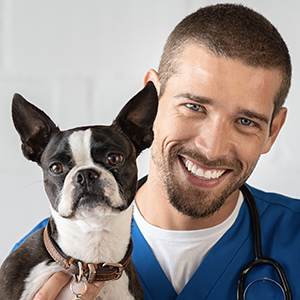 URGENCES VETERINAIRES | Tout Savoir Sur...