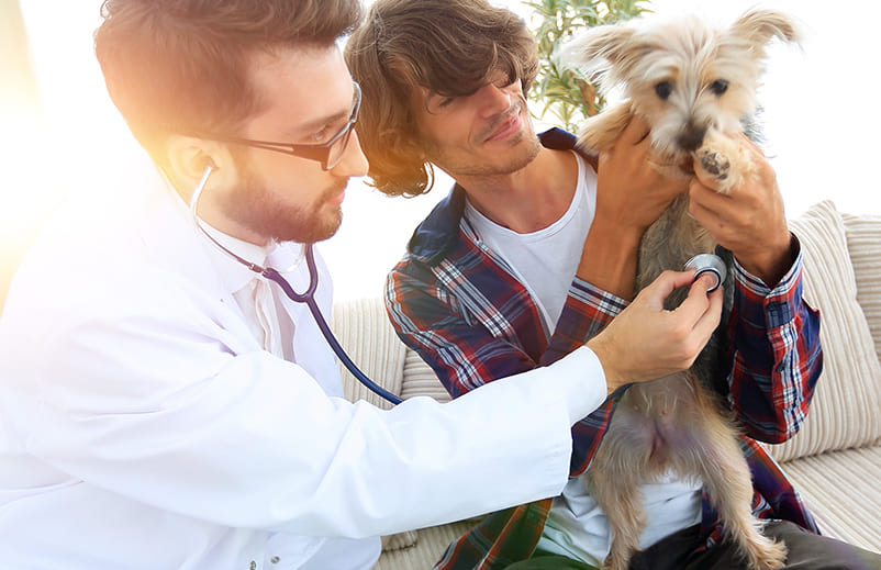 Urgences VETERINAIRES | Urgences Vétérinaires à domicile sur Paris (Ile-de-France)