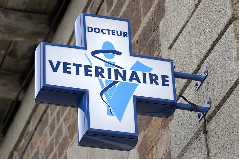 Urgence VETERINAIRE Chiens, Chats et NAC