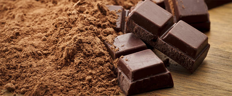 URGENCES VETERINAIRES | Intoxication Au chocolat