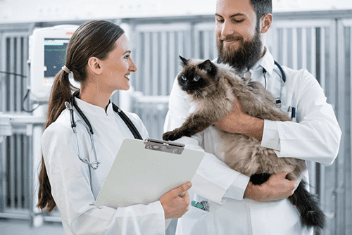 Quels service vétérinaire de garde consulter?